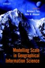 Image for Scale issues in geographical analysis &amp; GIS