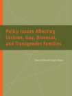 Image for Policy Issues Affecting Lesbian, Gay, Bisexual, and Transgender Families