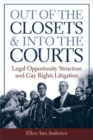 Image for Out of the Closets and into the Courts
