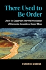 Image for There used to be order  : life on the Copperbelt after the privatisation of the Zambia consolidated copper mines