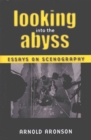 Image for Looking into the abyss  : essays on scenography