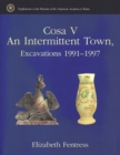 Image for Cosa V : An Intermittent Town, Excavations 1991-1997