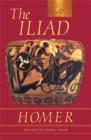 Image for The Iliad  : the story of Achilles
