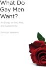 Image for What Do Gay Men Want? : An Essay on Sex, Risk, and Subjectivity