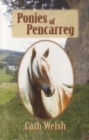 Image for Ponies of Pencarreg