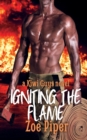 Image for Igniting the Flame