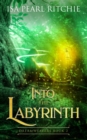 Image for Into the Labyrinth : Dreamweavers Book 2