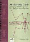 Image for An Illustrated Guide to Some New Zealand Insect Families