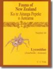 Image for Fauna of New Zealand Number 44 : Lycosidae - Arachnida, Araneae