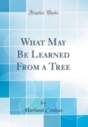 Image for What May Be Learned From a Tree (Classic Reprint)