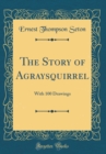 Image for The Story of Agraysquirrel: With 100 Drawings (Classic Reprint)