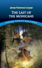 Image for The last of the Mohicans