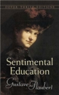 Image for Sentimental education: the story of a young man