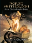 Image for Norse mythology: great stories from the Eddas