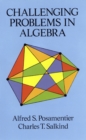 Image for Challenging problems in algebra