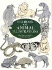 Image for Big book of animal illustrations