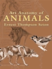 Image for Art anatomy of animals