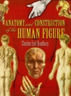 Image for Anatomy and Construction of the Human Figure