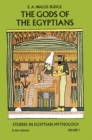 Image for Gods of the Egyptians, Volume 1
