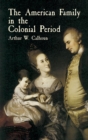 Image for The American family in the colonial period