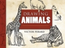 Image for Drawing Animals