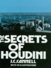 Image for The secrets of Houdini