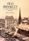 Image for Old Brooklyn in Early Photographs, 1865-1929