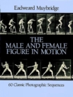 Image for The Male and Female Figure in Motion : 60 Classic Photographic Sequences