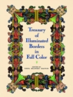 Image for Treasury of Illuminated Borders in Full Colour
