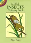 Image for Little Insects Coloring Book
