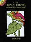 Image for Little Tropical Flowers Stained Glass Colouring Book