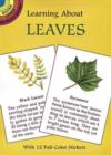 Image for Learning about Leaves