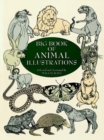 Image for Big Book Animal Illustrations