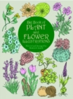 Image for Big Book of Plant and Flower Illustrations