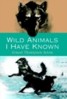 Image for Wild Animals I Have Known : And 200 Drawings