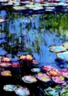 Image for Monet Notebook