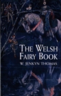 Image for The Welsh Fairy Book