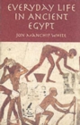 Image for Everyday Life in Ancient Egypt