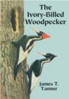 Image for The Ivory-Billed Woodpecker
