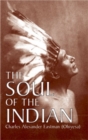 Image for The Soul of the Indian