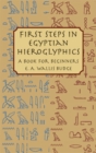 Image for First steps in Egyptian