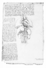 Image for Leonardo&#39;S Anatomical Drawings