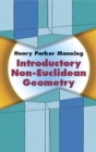 Image for Introductory Non-Euclidean Geometry
