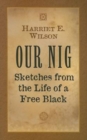 Image for Our Nig : Sketches from the Life of a Free Black