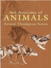 Image for Art anatomy of animals