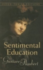 Image for Sentimental Education : The Story of a Young Man
