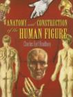 Image for Anatomy and Construction of the Human Figure