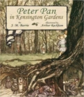 Image for Peter Pan in Kensington Gardens