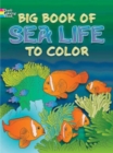 Image for Big Book of Sea Life to Color
