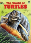 Image for World of Turtles